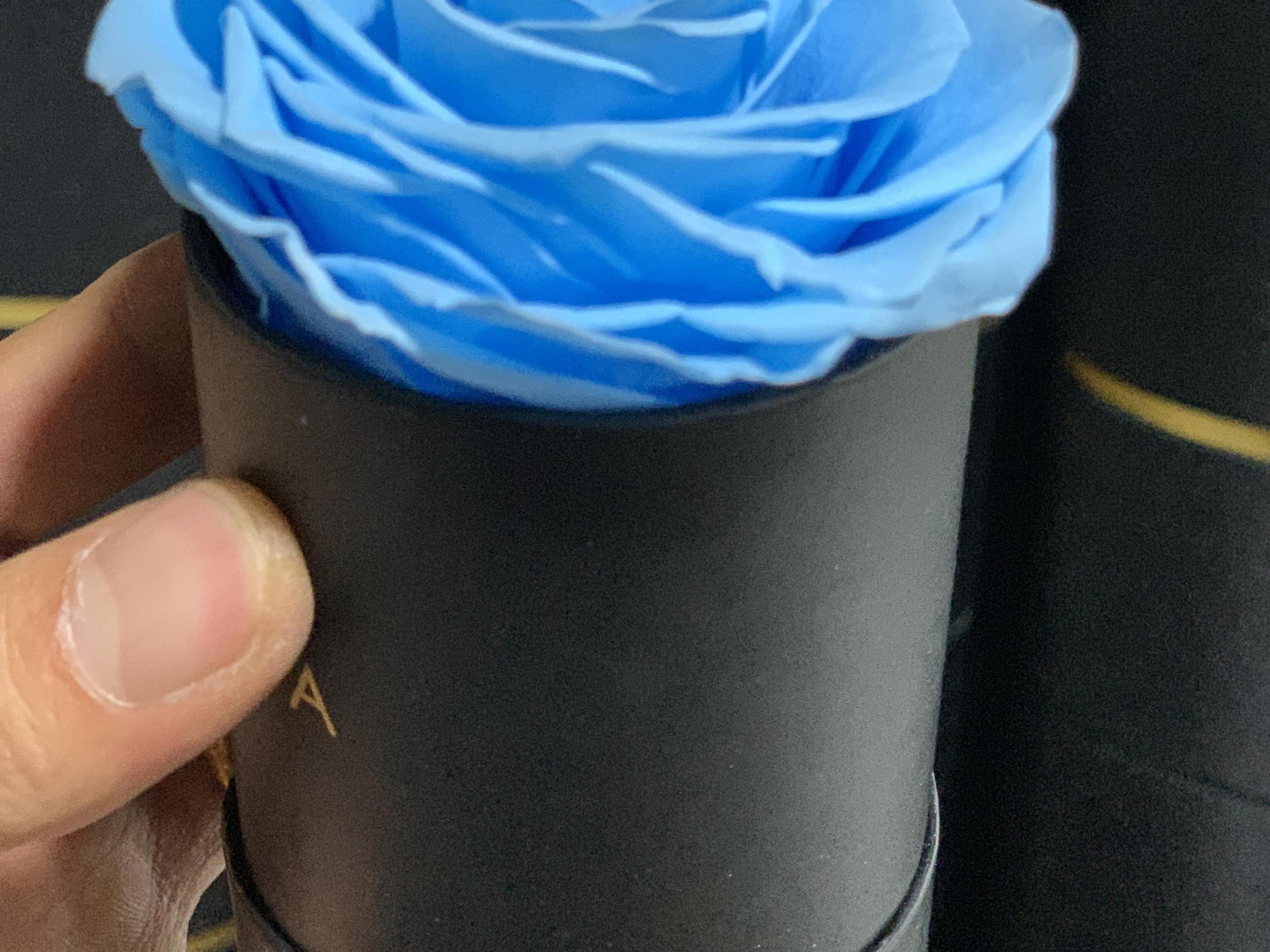 Sky Blue