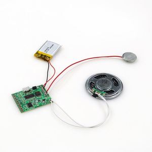 为DIY定制嵌入式usb下载音频播放器模块 - Product Image 1