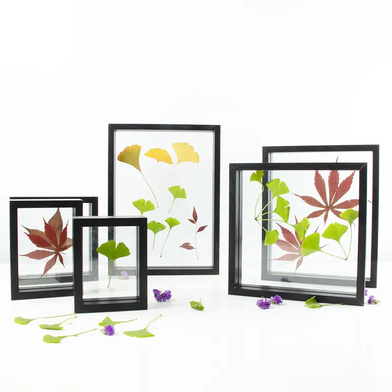 Cadre Photo en bois naturel Double face, 7 ", pour échantillons, boîte à ombres et fleurs séchées, Transparent, haute définition, nouveauté