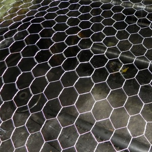 Alambre de pollo galvanizado cuadrado de calibre 19/red de malla de pollo hexagonal para jaula de animales - Product Image 2