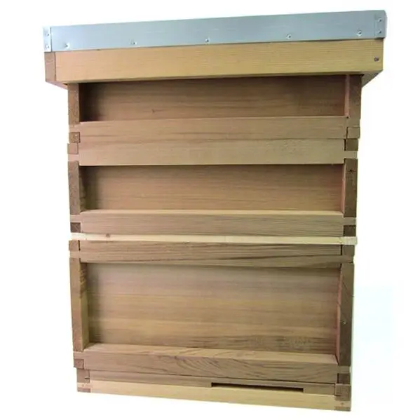 Fabricant d'apiculture Kit de ruche en bois de cèdre rouge UK British Standard National Bee Hive and Frame avec fond de teint