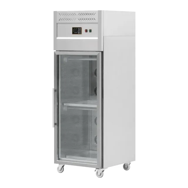 Commercial Kitchen Utensils Refrigerator Single Door Intelligent Duck Drying Roast Duck Chicken Drying Display Cabinet
