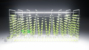 Sistema di controllo automatico idroponico lattuga microgreen con integratore coltiva sistema di illuminazione automatizzato impianto fabbrica contenitore farm - Product Image 2