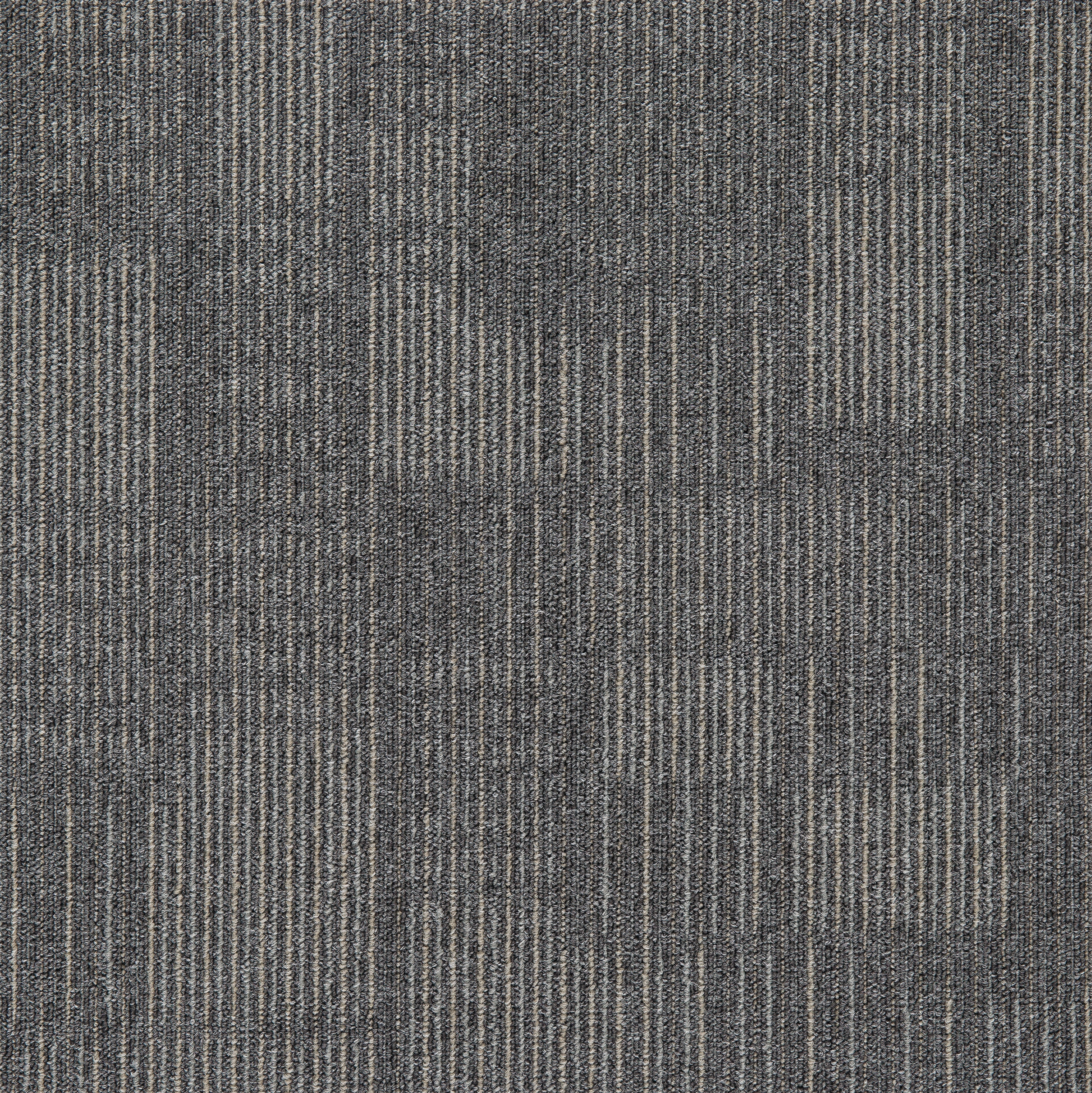 Gris12