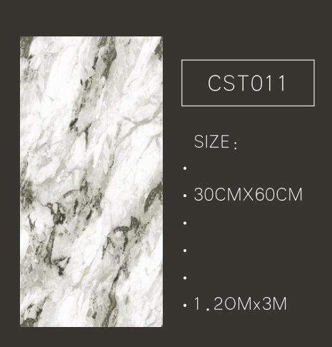CST011