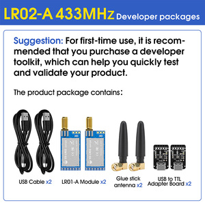Entwickler kit LoRa-Modul Basismodell der LRO2-Serie DIP LoRaWAN 433MHz 22dBm IPEX/Stempel loch Drahtloses Modul Watchdog TTL/RSSI/LBT