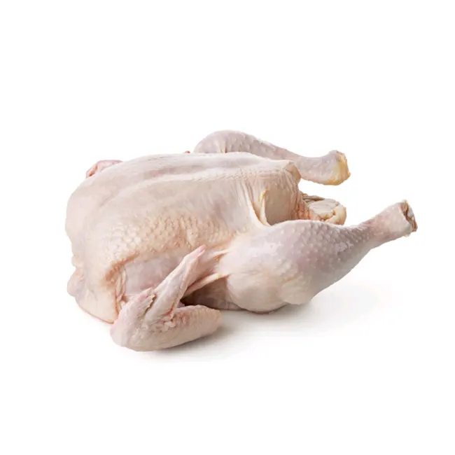 Good Quality Wholesale Halal Whole Frozen Chicken at Attractive Price