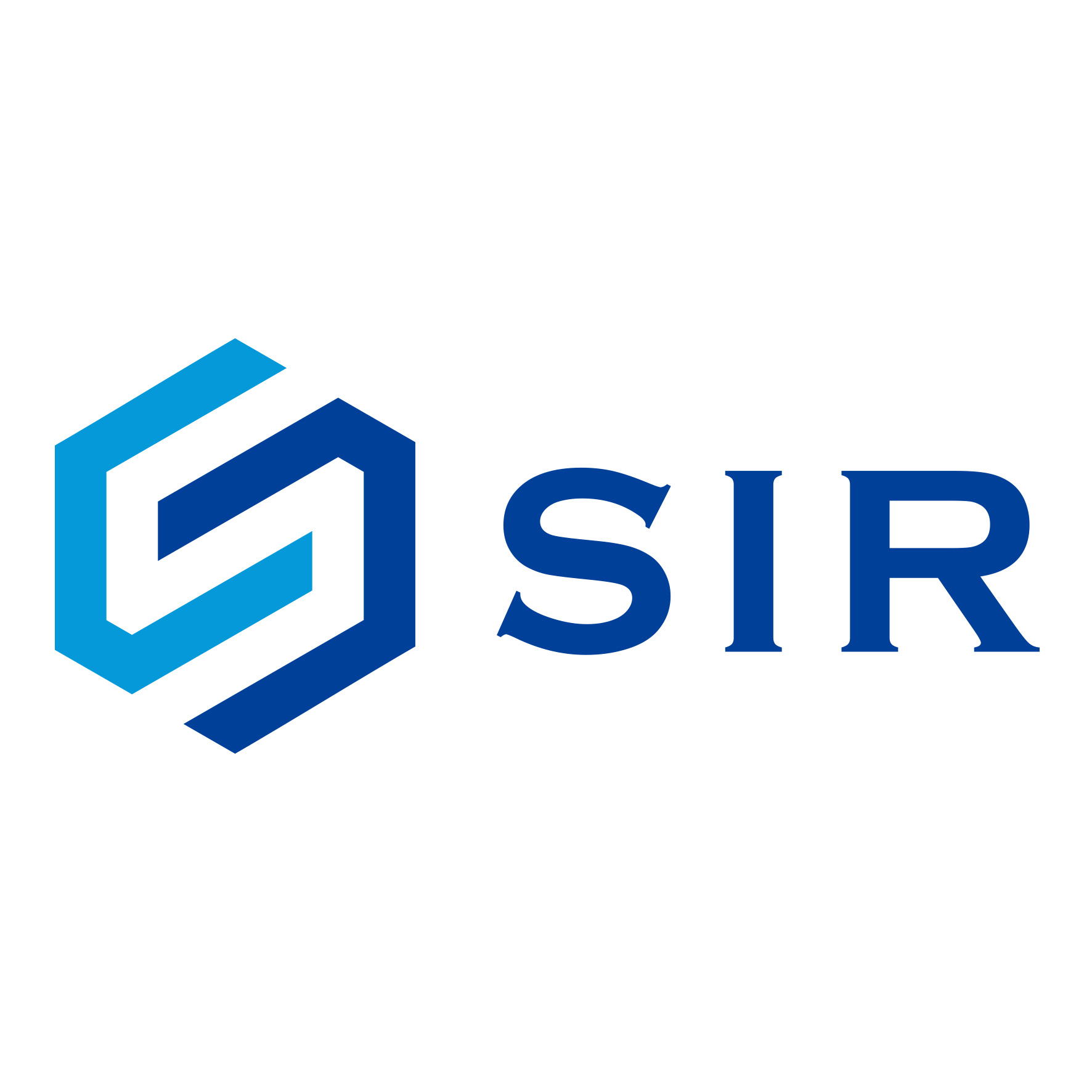 company logo