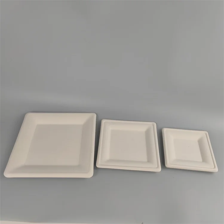 bagasse food tray