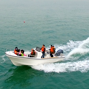 Liya 22ft Popular Panga Fishing Boat Imported American Brand Gel-coat