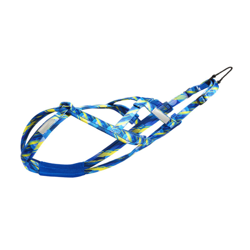 2 amarillo azul