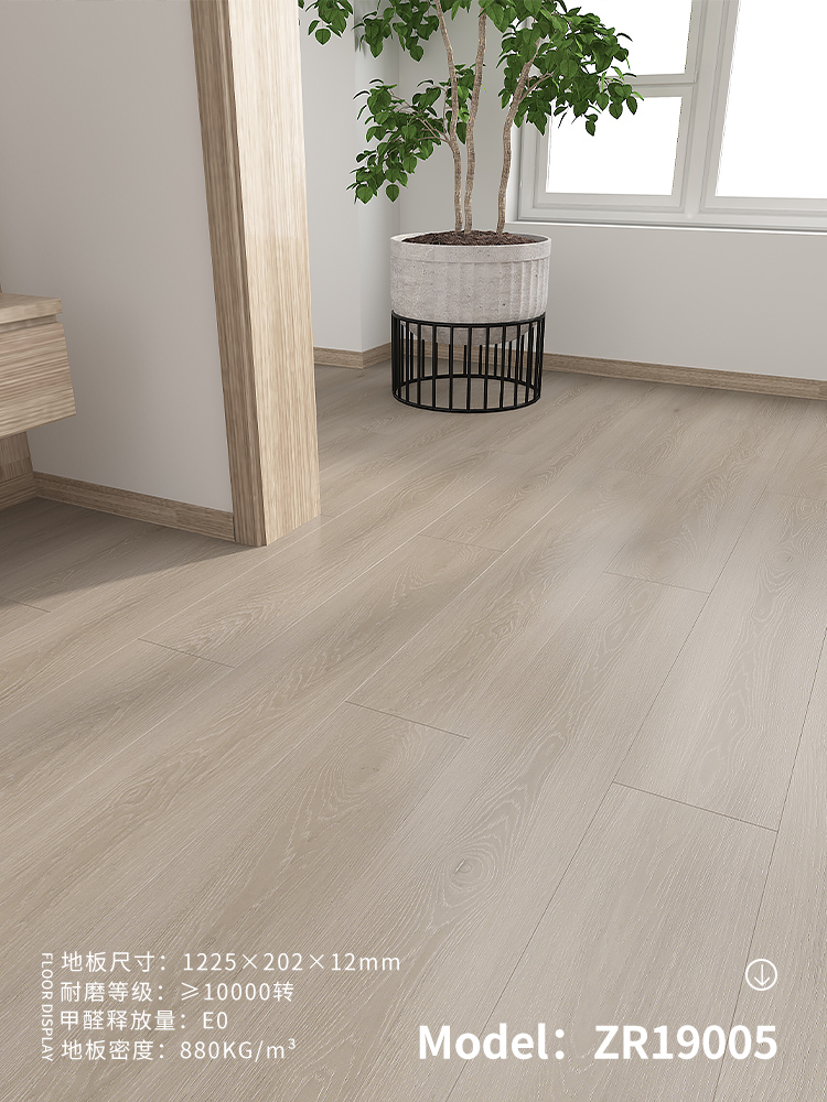ZR19005 meters gray