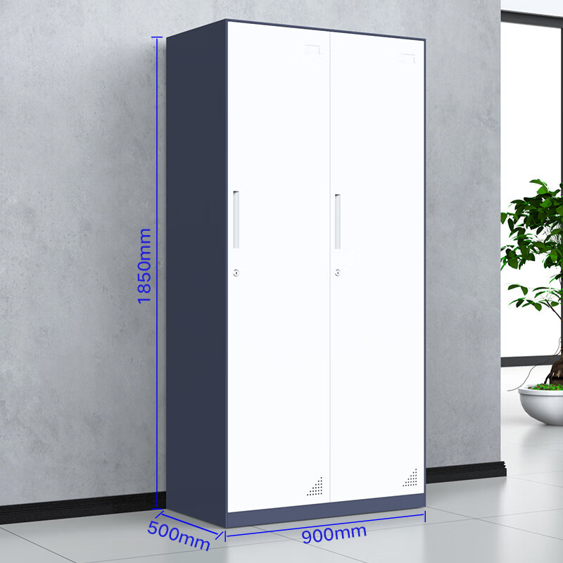Gray and white two-door locker