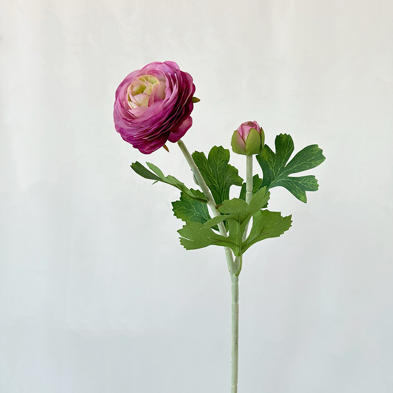 2 Rosée Lotus Violet