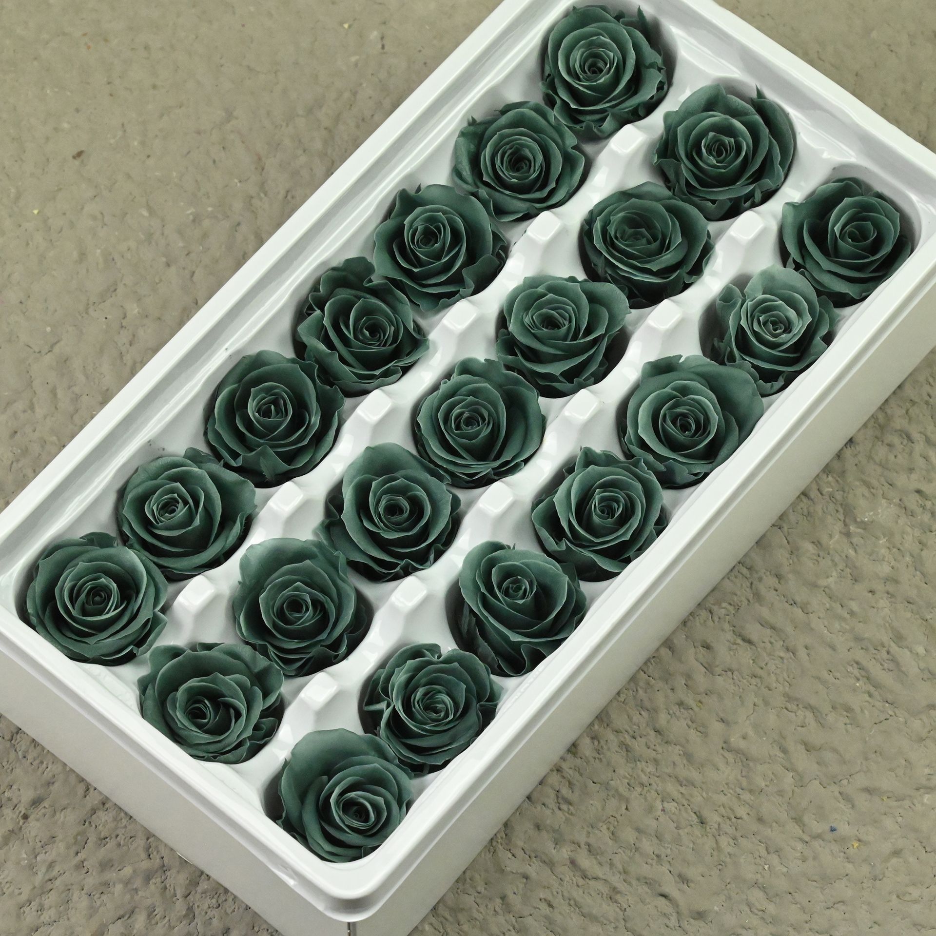 B mei 2-3 gray green 121 or 24