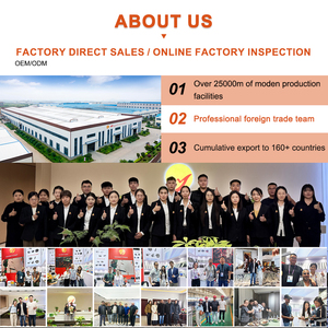 20ft & 40ft Zerlegbare Häuser Vorgefertigte Kleine Häuser Luxuriöse Modulare Vorgefertigte <span class=keywords><strong>Container</strong></span>-Häuser - Product Image 6