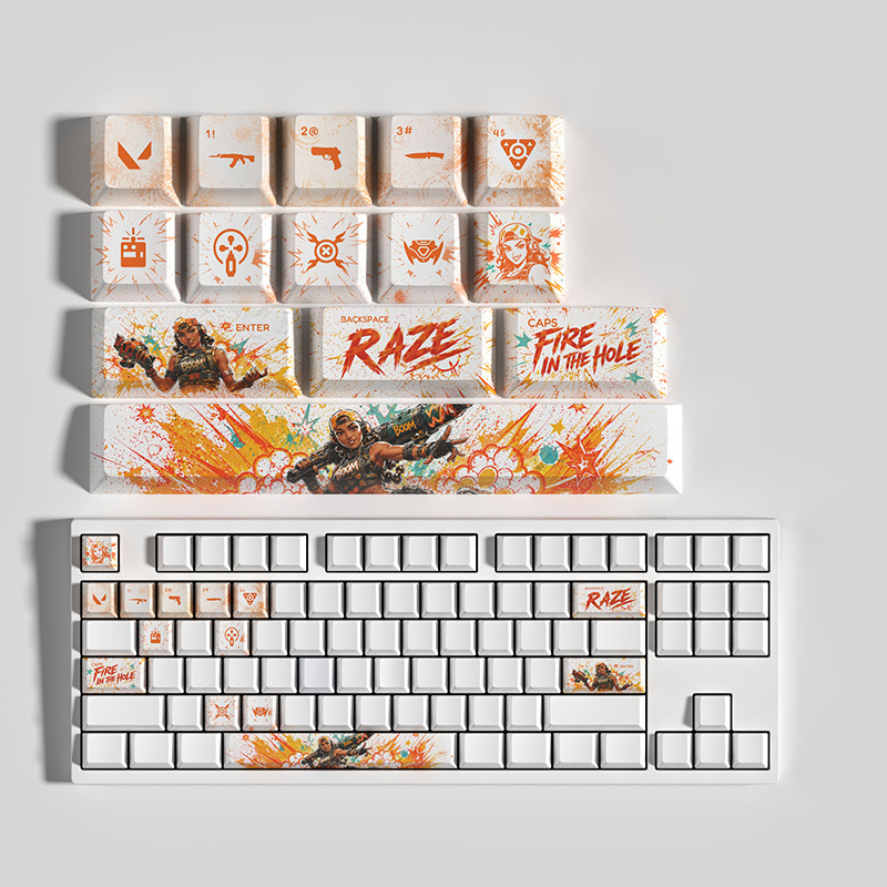 RAZE14 clés