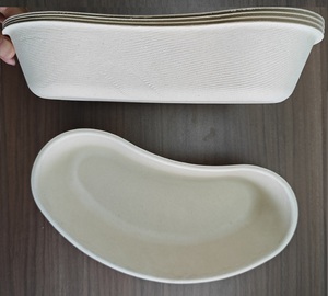 Baki Limfe Steril EO untuk Pembalut yang Terkontaminasi, Limbah Medis, Baki Limfe Sekali Pakai dari Bahan Pulp - Product Image 2