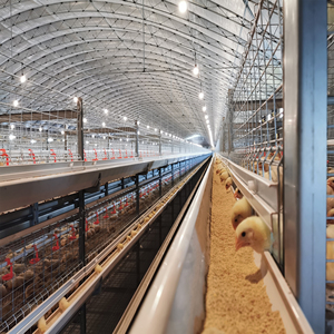 Smart avicoltura capannone kit di costruzione struttura in acciaio sistema di alimentazione/irrigazione/climatizzazione per la saldatura di luce delle uova