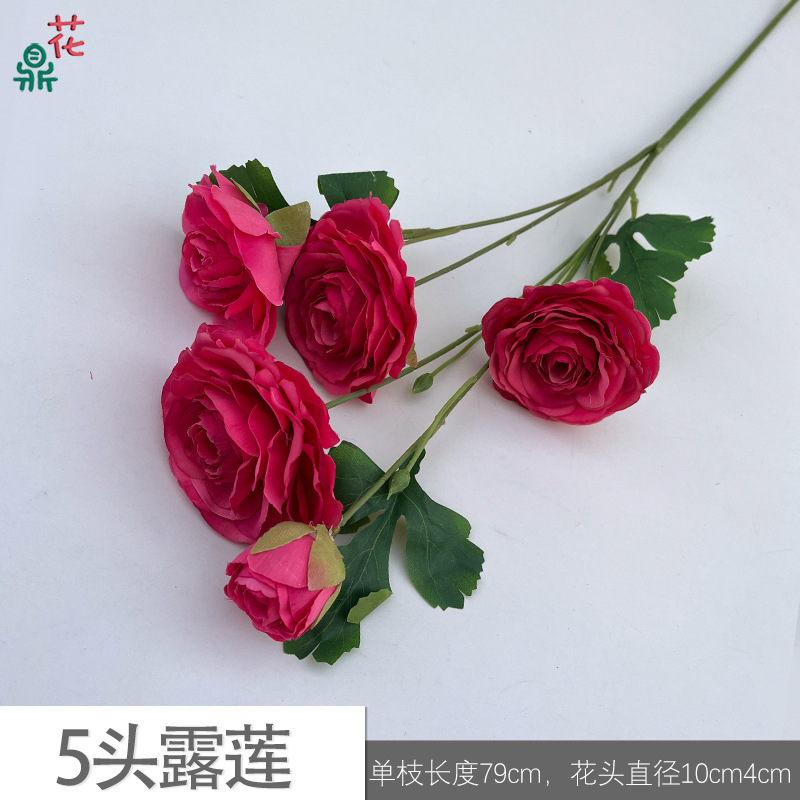 5 heads Lulia JYG Rose red