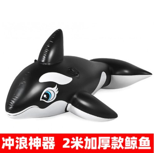 Grosse baleine
