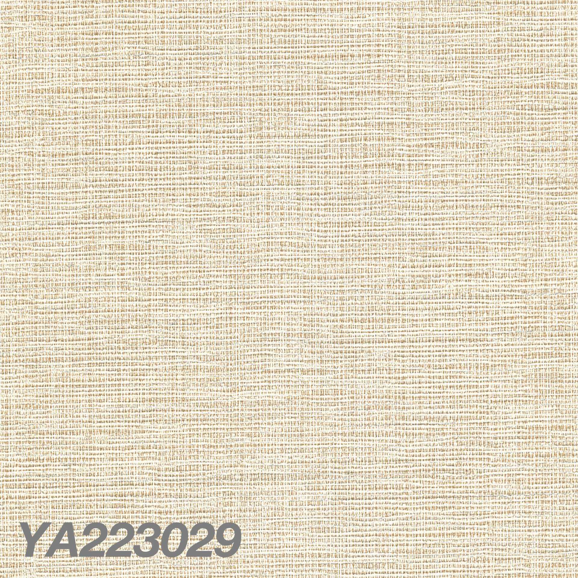 YA223029