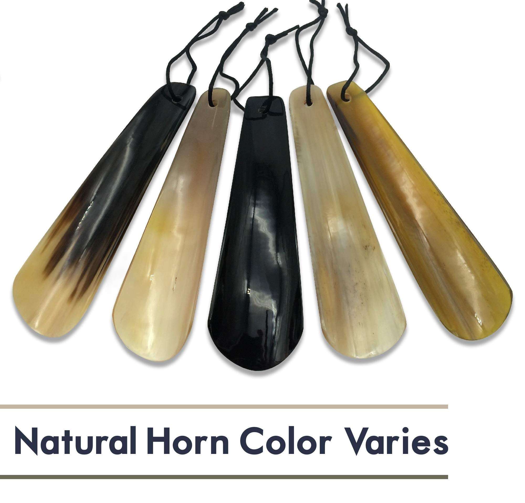 สีเขาสัตว์ธรรมชาติ