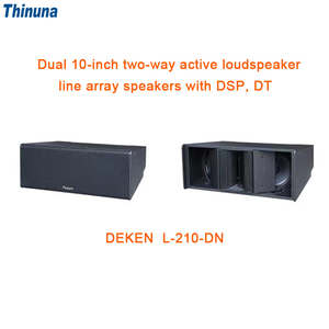 Thinuna Dual 10 pollici altoparlanti Dante Active Line Array a due vie per la festa di nozze modulo amplificatore DSP classe D attivo integrato - Product Image 3
