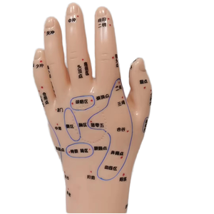 Çin tıbbı akupunktur masajı akupunktur insan tıbbi öğretim el ayak kulak modeli öğrenmek - Product Image 1