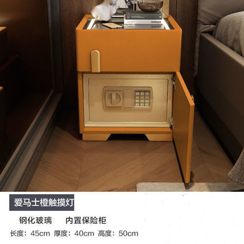 Hermes Orange Tricolor Light