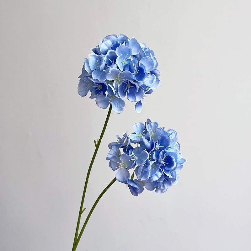 Bleu foncé