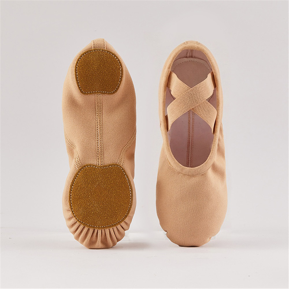 TJ-0113 camel