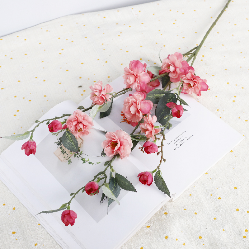 ชมพูเข้ม