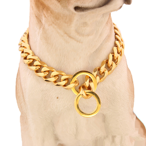 Altın çukur tasarımı ile 15mm titanyum çelik Pet zincir yaka PU malzeme paslanmaz çelik şerit dekorasyon aksesuarı köpekler için