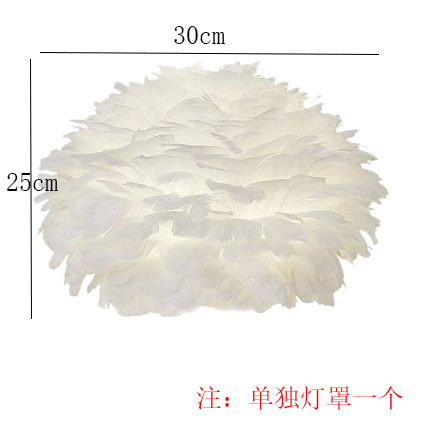 Lampshade (note: only single lampshade)