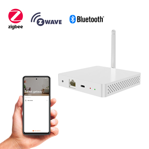 Thingsboard gateway 4g lte wifi router iot edge gateway ble zwave zigbee 3.0 linux buildrot raspberry pi gateway - Product Image 6
