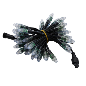 DC5V DC12V 12mm LED Pixel luce punto di controllo sogno colore RGB per la pubblicità cartelloni pubblicitari Logo di costruzione di illuminazione di ingegneria - Product Image 3