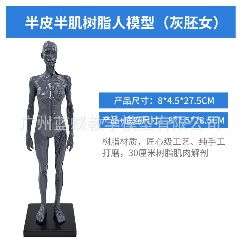 30CM Resin - Gray - Female