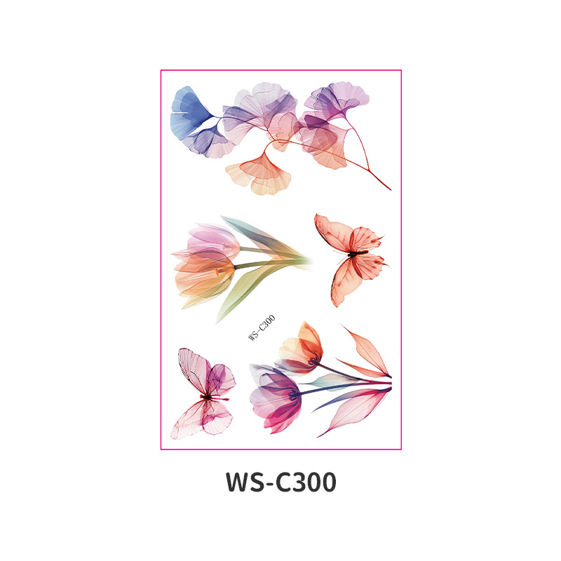 WS-C300