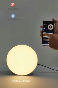 <strong>New</strong> <strong>Style</strong> 24w Tuya Wifi Lighting Smart Ceiling Lamp App Control <strong>Led</strong> Smart Ceiling Lights for Home Wholesale Round Ceiling Light - Product Image 3