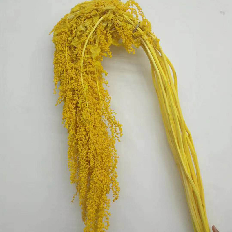 Amarillo