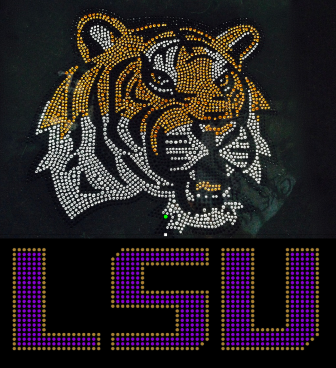 tigre 6