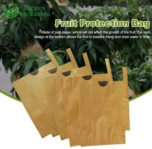Mango Cover Bag Price Guava Fruit Protection Cover - Product Image 5