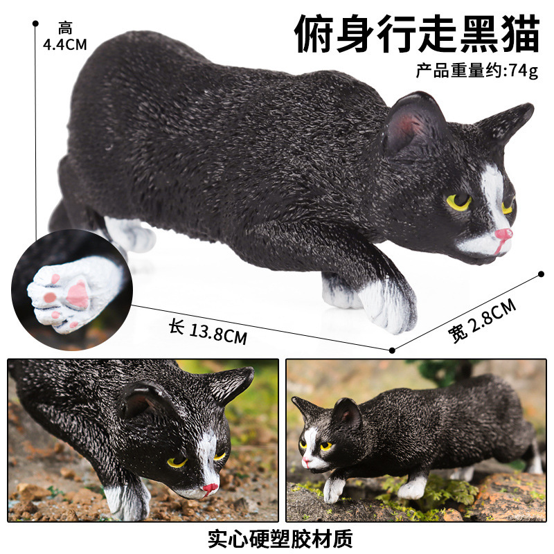 M-2932 Stoop marche chat noir