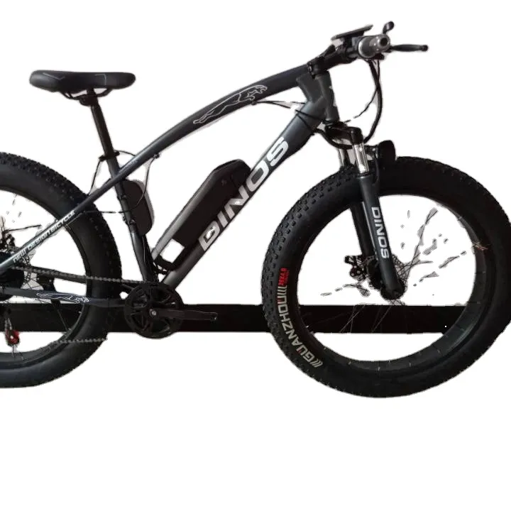 New Type hochwertige fette Reifen Fahrrad zum Verkauf Erwachsenen Elektro-Sport fahrrad von einem Sitz