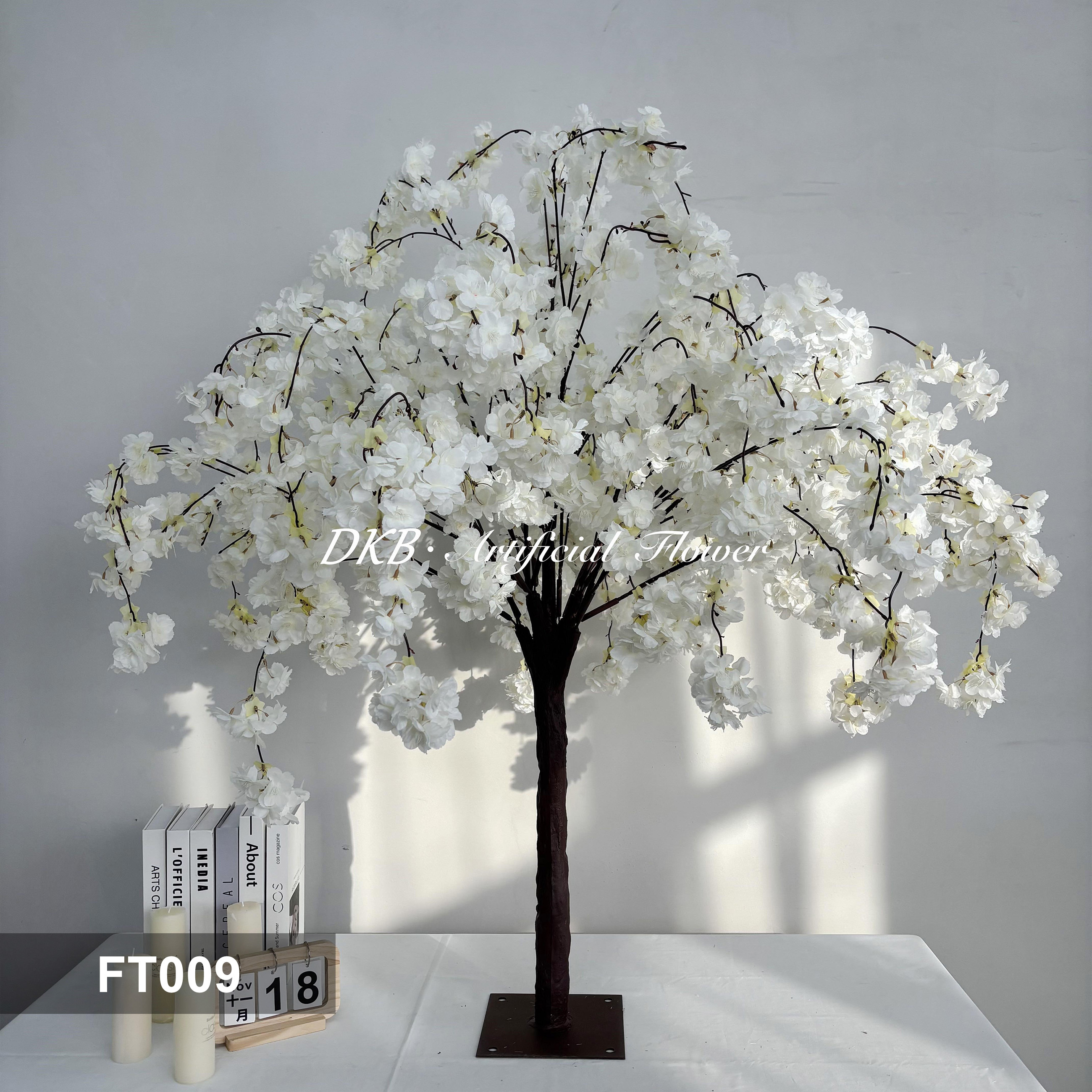 FT009