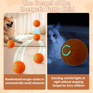 ZMaker <span class=keywords><strong>2025</strong></span> yeni otomatik hareketli sallayarak köpek oyuncak topu interaktif haddeleme köpek topu oyuncak akıllı hareketli haddeleme topu oyuncak - Product Image 3