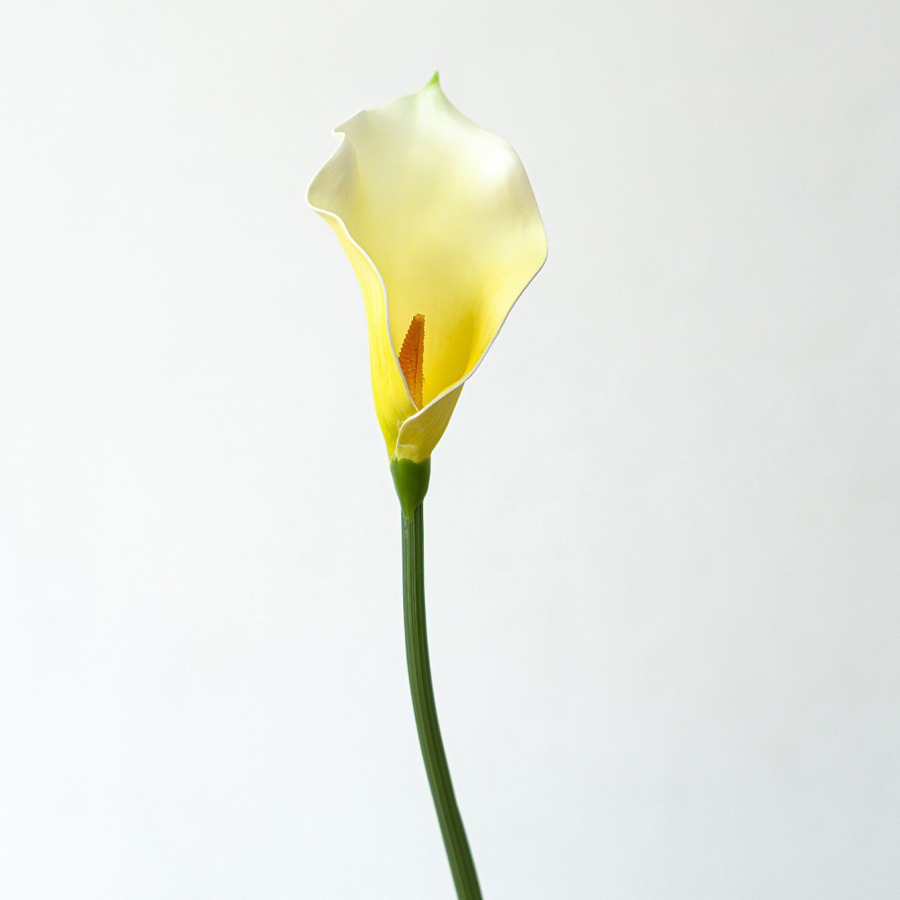 7# jaune