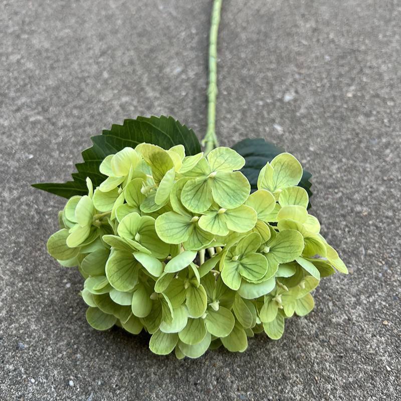 6 #72 pegamento suave mano pequeña Hortensia-verde