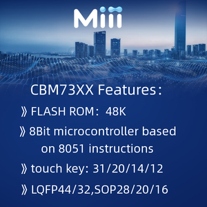 Flash-MCU mit LED-Treiber Mikro controller einheit MCU-Software entwicklung IC-Chip CBM7612DSXM